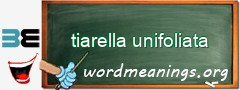 WordMeaning blackboard for tiarella unifoliata